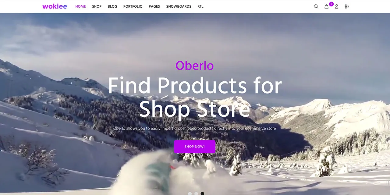 E-commerce website design portfolio sample 2