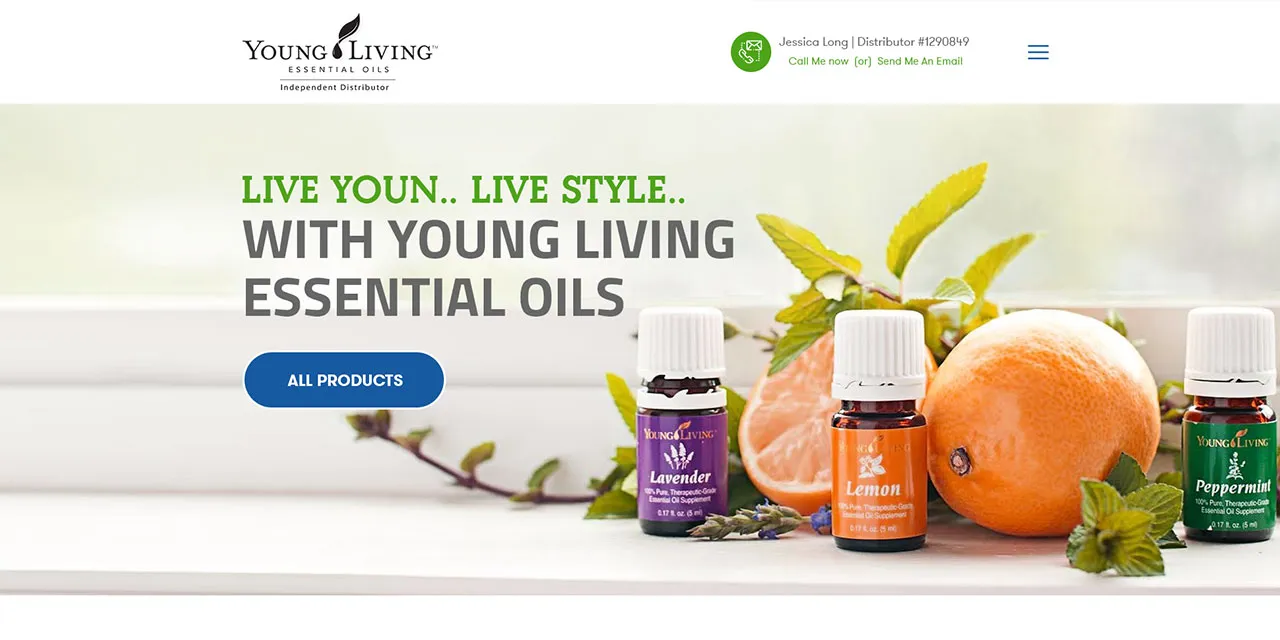 Web design portfolio sample 6