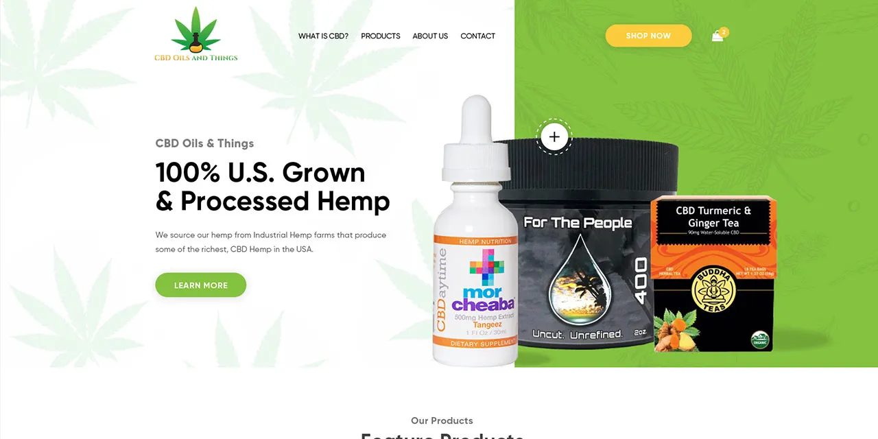 Web design portfolio sample 7