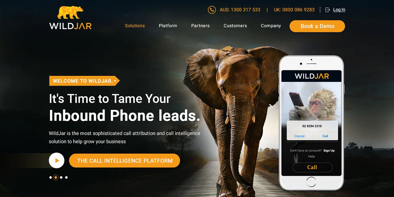Web design portfolio sample 8